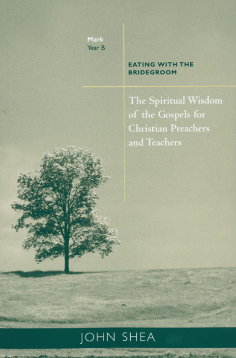Cover image for book The Spiritual Wisdom of Gospels for Christian Preachers and Teachers