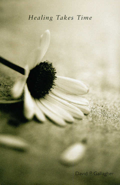 Cover image for book Healing Takes Time