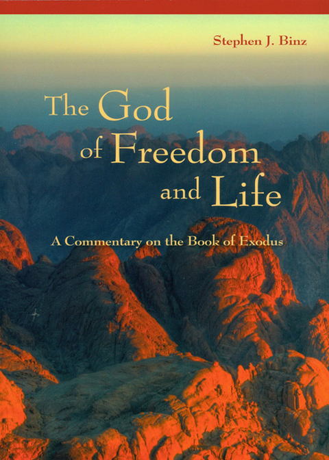 Cover image for book The God of Freedom and Life