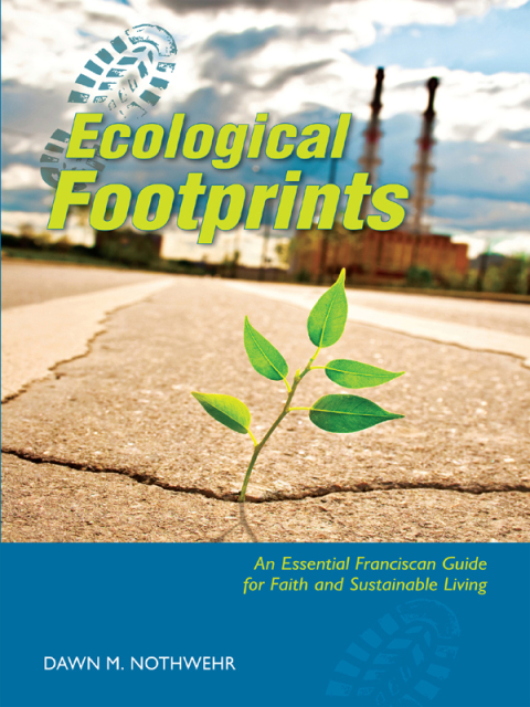 Cover image for book Ecological Footprints