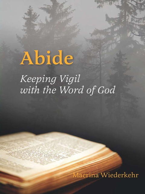 Cover image for book Abide
