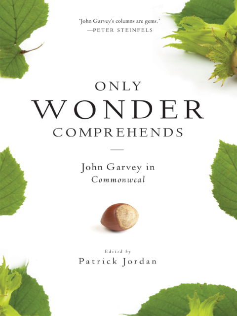 Cover image for book Only Wonder Comprehends