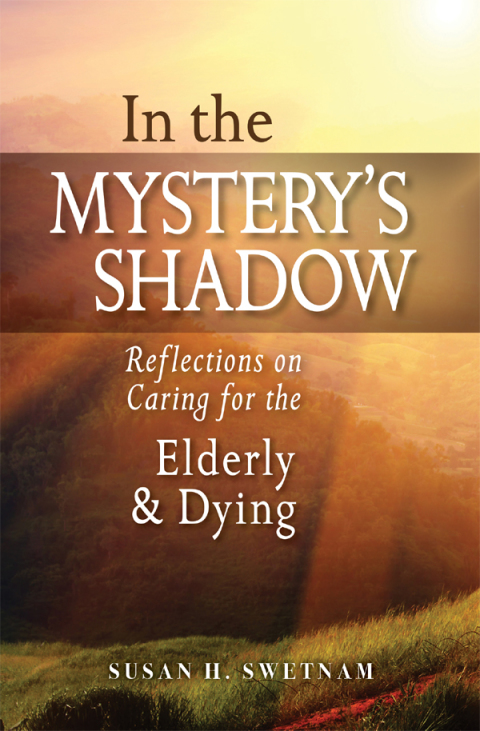 Cover image for book In the Mystery's Shadow