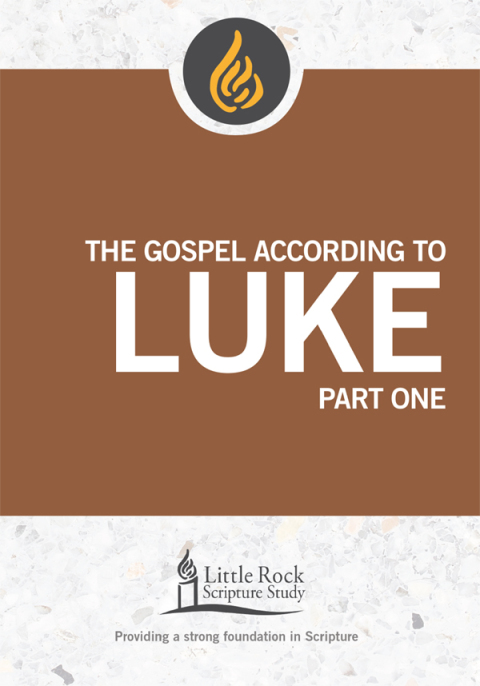 Cover image for book The Gospel According to Luke, Part One