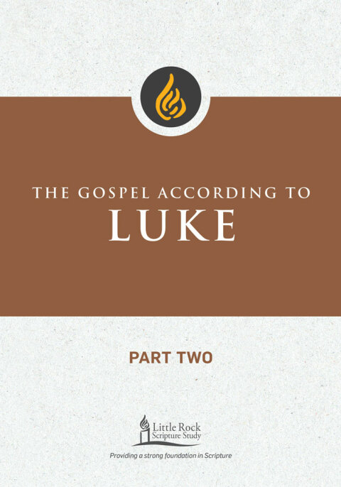 Cover image for book The Gospel According to Luke, Part Two