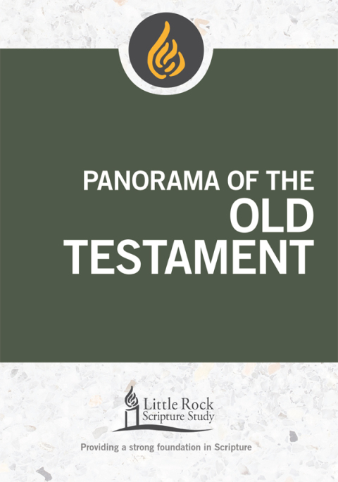 Cover image for book Panorama of the Old Testament