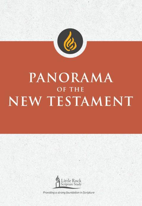 Cover image for book Panorama of the New Testament