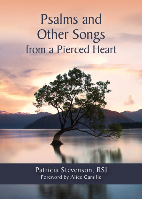Cover image for book Psalms and Other Songs from a Pierced Heart