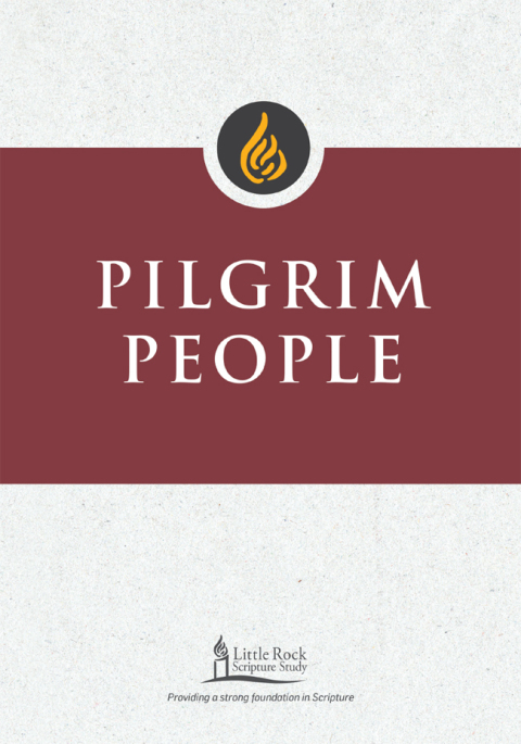 Cover image for book Pilgrim People