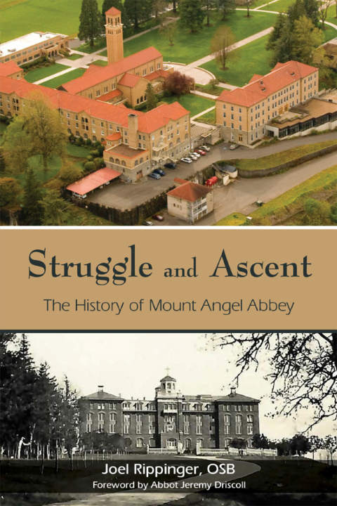Cover image for book Struggle and Ascent