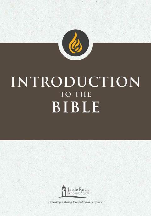 Cover image for book Introduction to the Bible