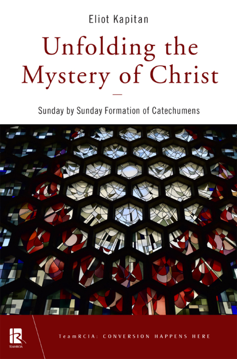 Cover image for book Unfolding the Mystery of Christ