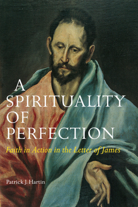 Cover image for book A Spirituality of Perfection