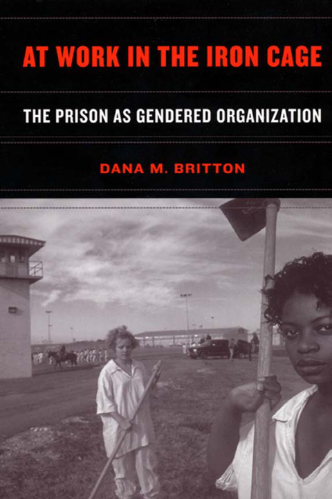 Cover image for book At Work in the Iron Cage
