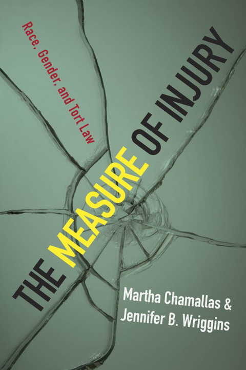 Cover image for book The Measure of Injury