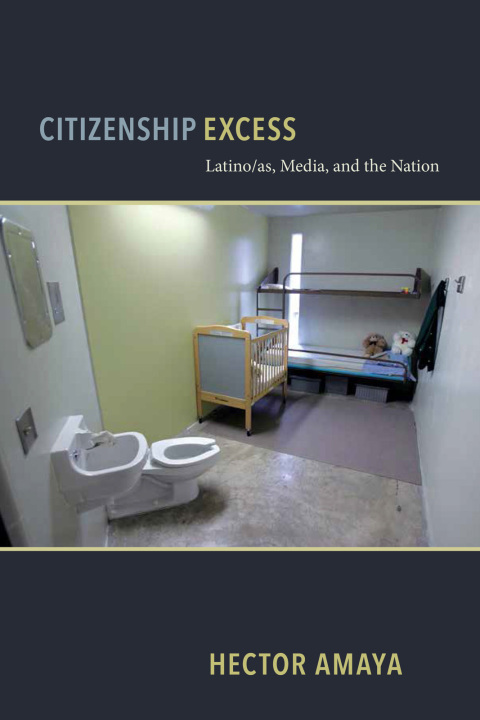 Cover image for book Citizenship Excess