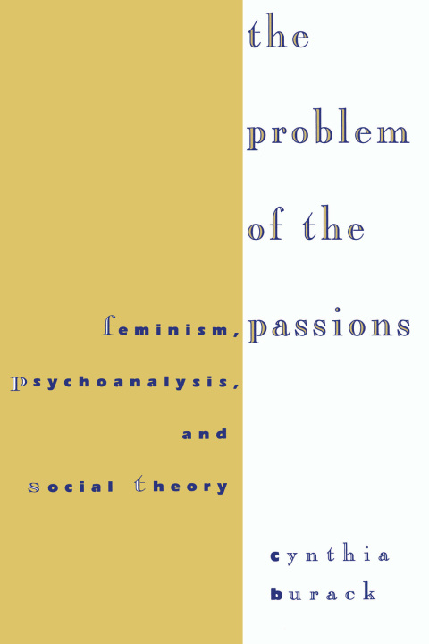 Cover image for book The Problem of the Passions