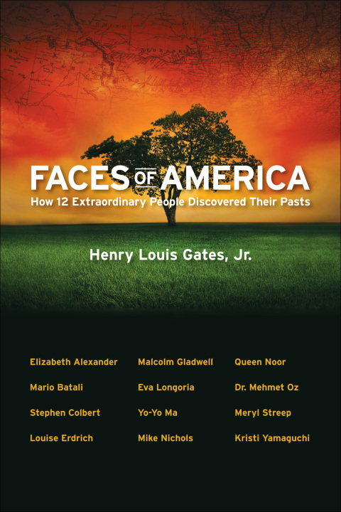Cover image for book Faces of America