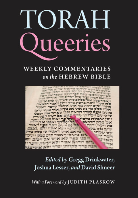 Cover image for book Torah Queeries