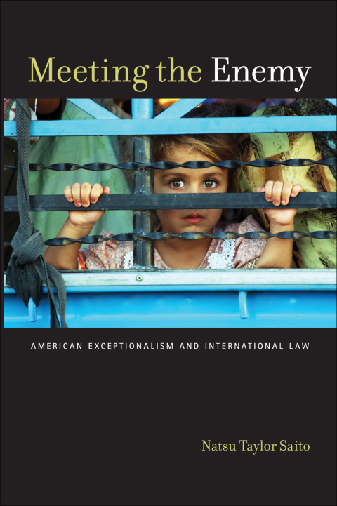 Cover image for book Meeting the Enemy