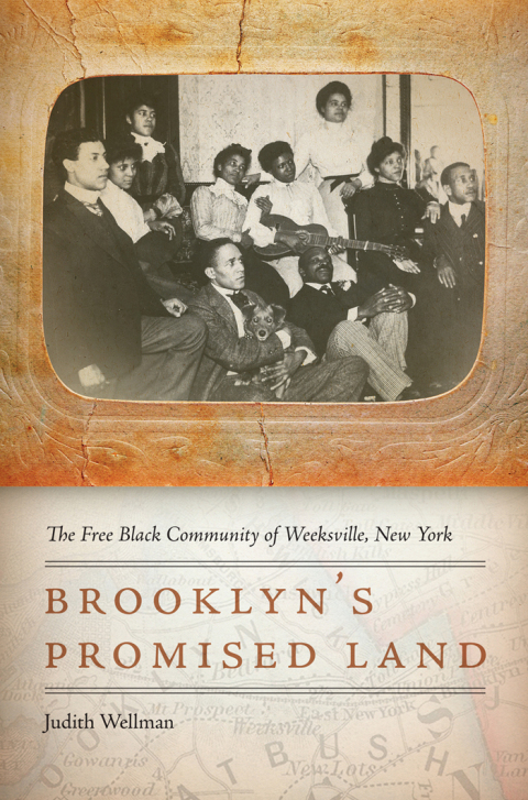 Cover image for book Brooklyn's Promised Land