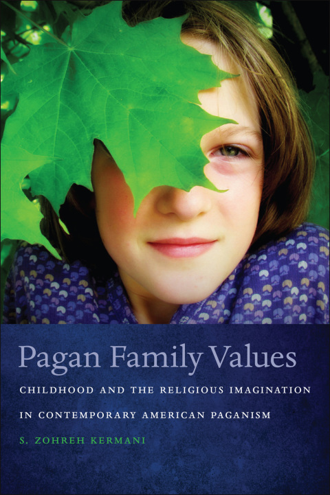 Cover image for book Pagan Family Values