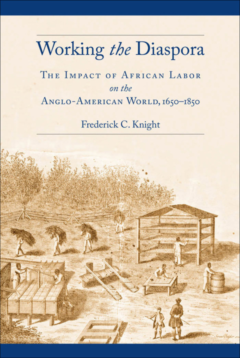 Cover image for book Working the Diaspora