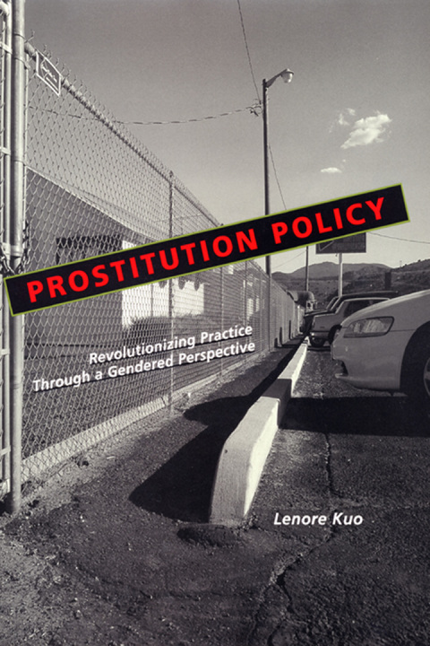 Cover image for book Prostitution Policy