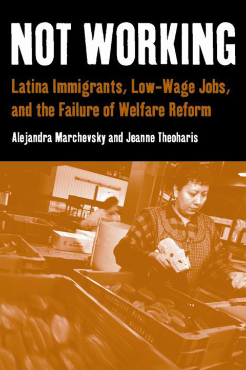 Cover image for book Not Working