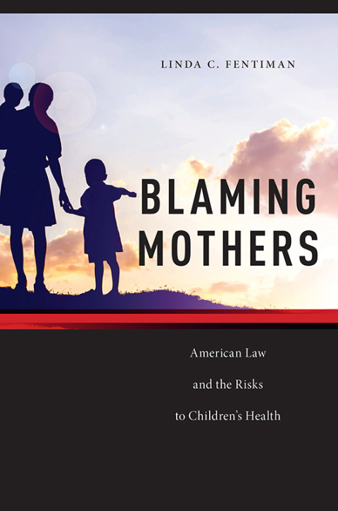 Cover image for book Blaming Mothers