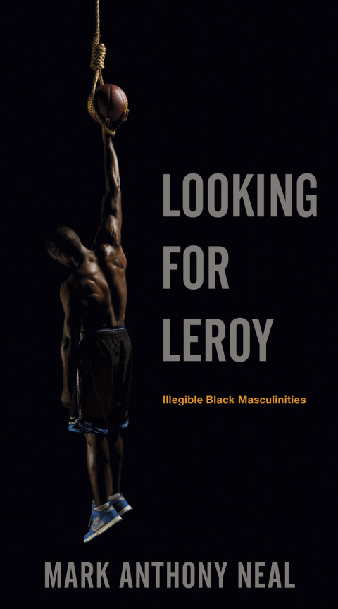 Cover image for book Looking for Leroy