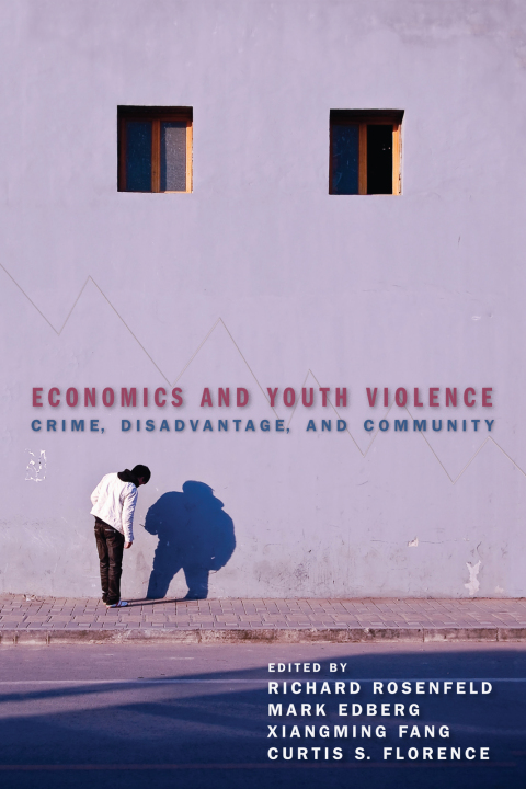 Cover image for book Economics and Youth Violence
