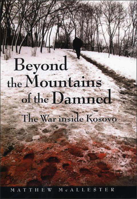 Cover image for book Beyond the Mountains of the Damned
