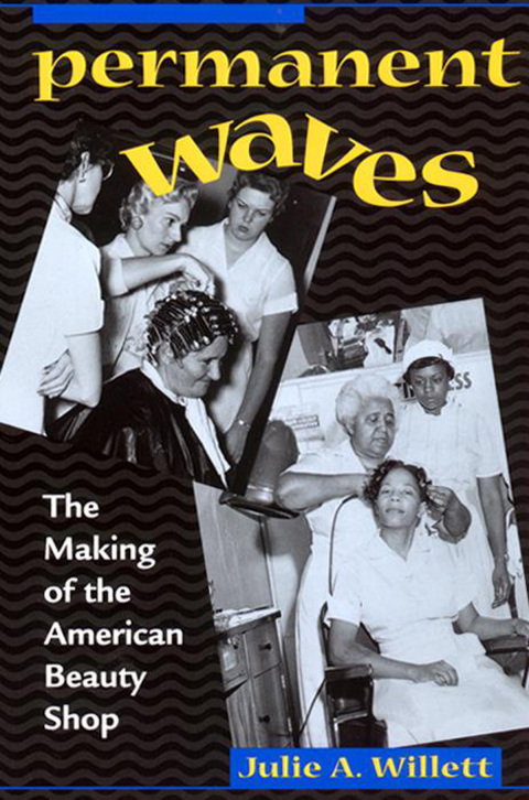 Cover image for book Permanent Waves