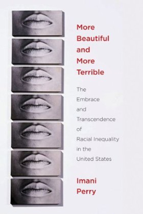 Cover image for book More Beautiful and More Terrible
