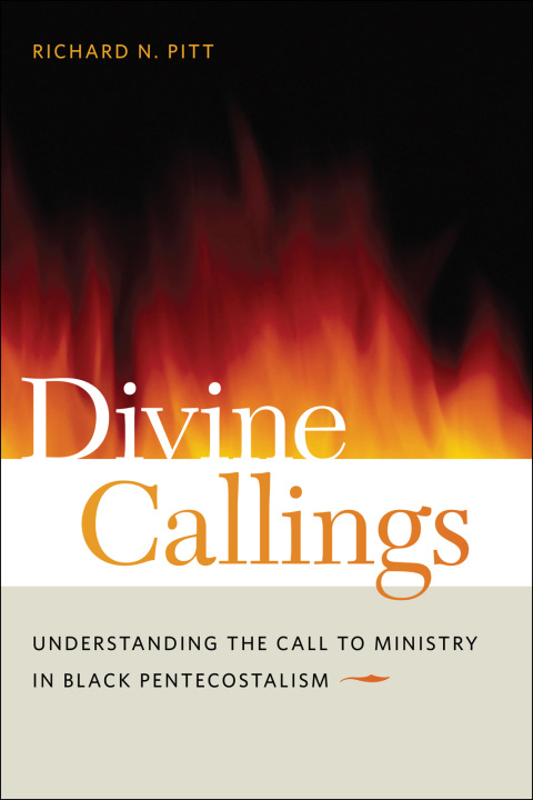 Cover image for book Divine Callings