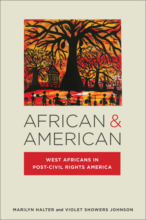 Cover image for book African & American