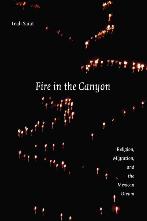 Cover image for book Fire in the Canyon