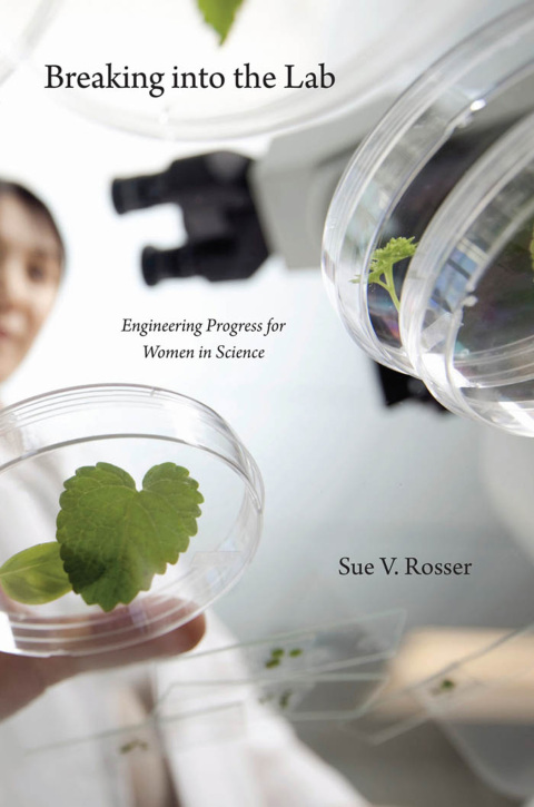 Cover image for book Breaking into the Lab