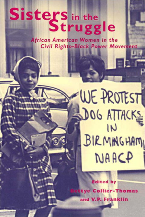 Cover image for book Sisters in the Struggle