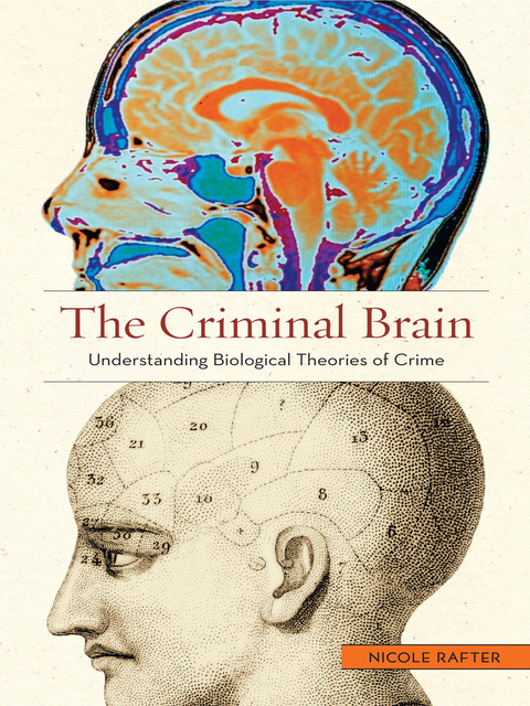 Cover image for book The Criminal Brain