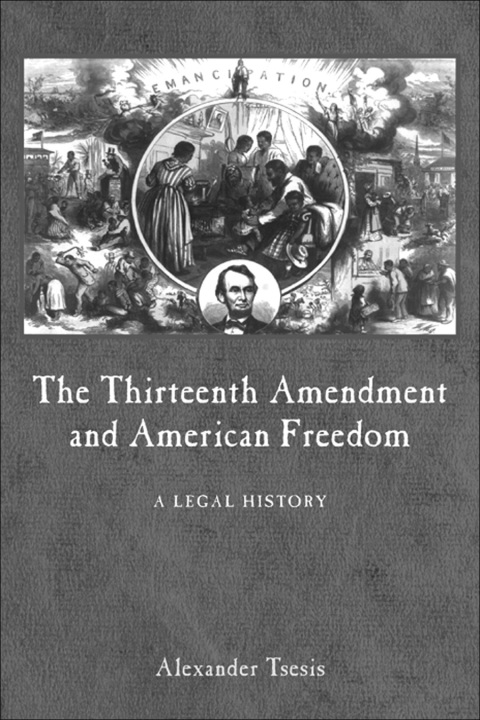 Cover image for book The Thirteenth Amendment and American Freedom
