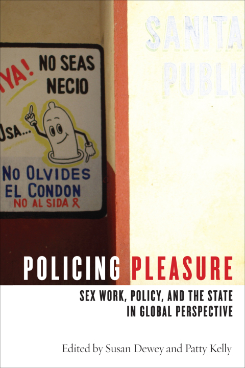 Cover image for book Policing Pleasure