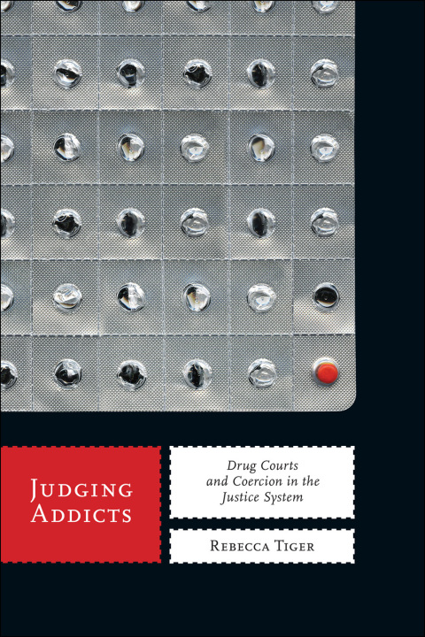 Cover image for book Judging Addicts