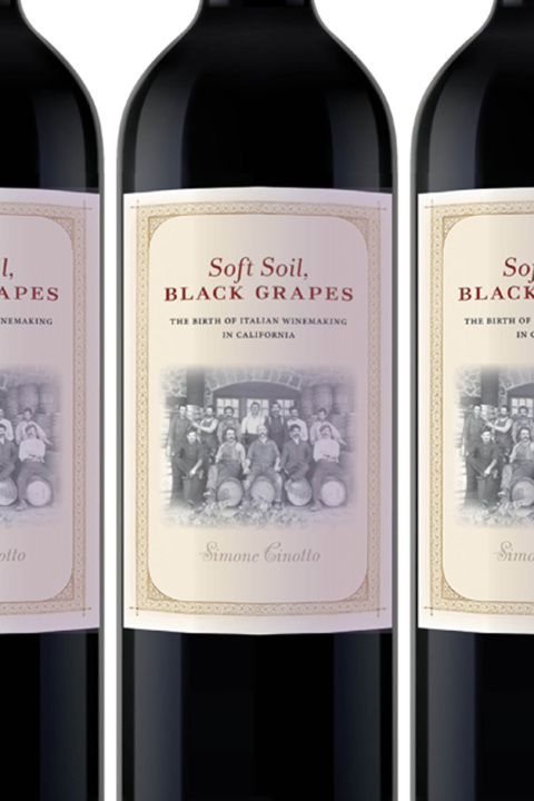 Cover image for book Soft Soil, Black Grapes