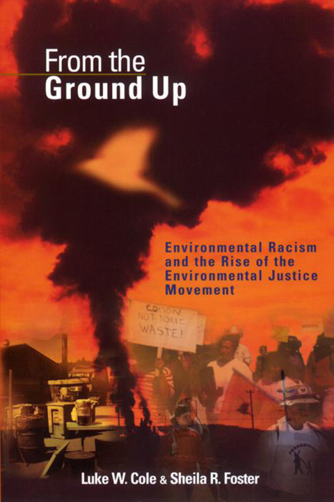 Cover image for book From the Ground Up