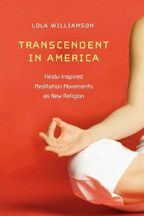Cover image for book Transcendent in America