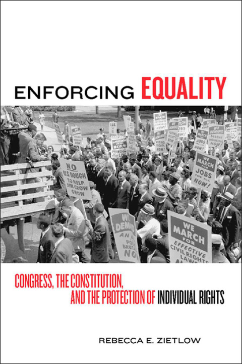 Cover image for book Enforcing Equality