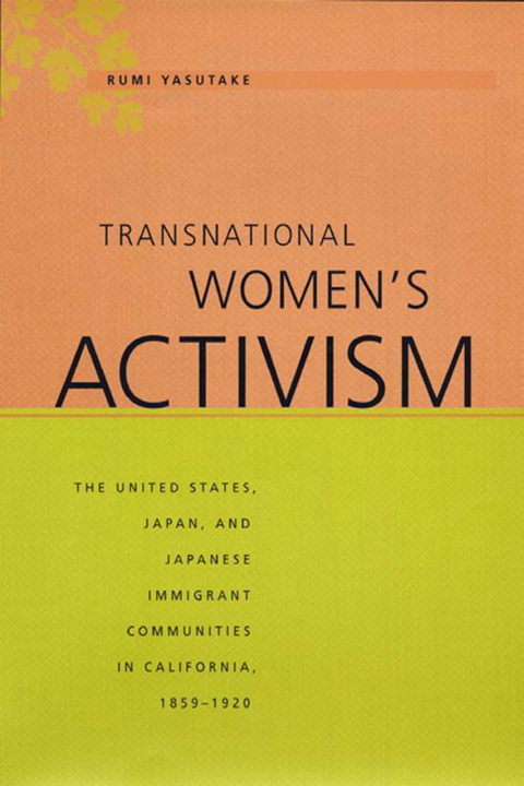 Cover image for book Transnational Women's Activism