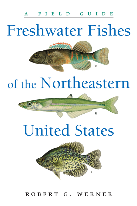 Cover image for book Freshwater Fishes of the Northeastern United States